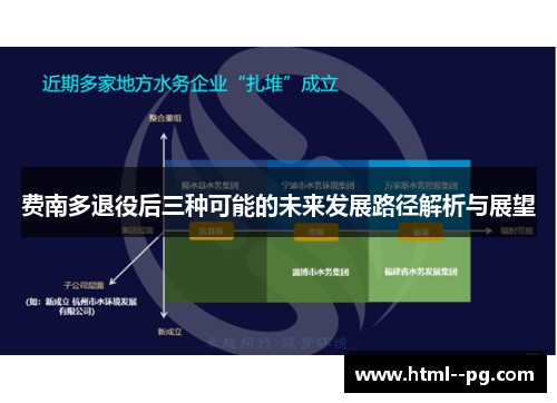 费南多退役后三种可能的未来发展路径解析与展望 费南多退役后三种可能的未来发展路径解析与展望
