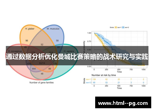 通过数据分析优化曼城比赛策略的战术研究与实践 通过数据分析优化曼城比赛策略的战术研究与实践